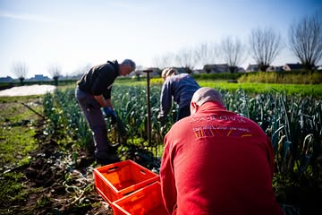 Voor Dag van de Landbouw nemen we je graag mee naar waar een deel van onze ravioli begint: tussen de groenten van Laurences moestuin.🥬

Onze medewerkers gaan er zelf aan de slag om verse groenten te plukken, die we daarna verwerken in de vulling van onze ravioli.🧡