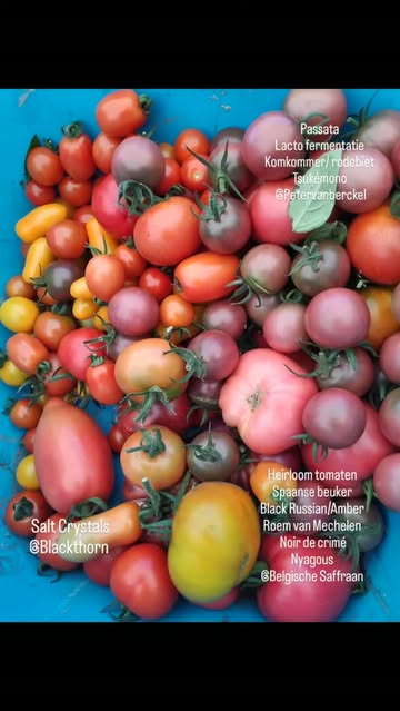 Starting with organic products
combined with Blackthorn sea
salt and classic preparation
methods yields heavenly
flavors