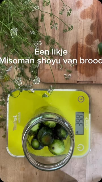 Gefermenteerde augurken, heerlijk!
Laat ze een week of twee, drie fermenteren en geef ze dan zeker nog wat tijd om te rijpen in de frigo.
En gebruik lekkere ingrediënten!

 Tijd & micro organismen, beetje per beetje, petit á petit, doni doni en het komt goed!