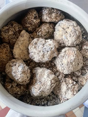 Fava jang experiment

In de lente maakt ik meju (Koreaanse koji) van tuinbonen.
Nu de heetste dagen van de zomer wat voorbij zijn is het tijd om de meju in gezouten water te leggen.
De complexiteit van de micro-organismen die zich ontwikkelde in de meju is als muzieknoten die samen een heerlijk liedje vormen.
Smaak is muziek, muziek is smaak
Laisse-moi chanter!