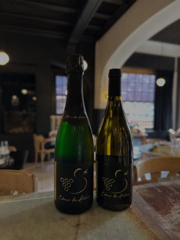 AVIS AUX AMATEURS DE BLANC ET BULLES 🍾

Ce mercredi 15 avril, ouverture spéciale pour notre 4e soirée vigneron en présence d’Arnaud Duchêne, du domaine belge Coteaux des Avelines 🍇

Au programme : un menu spécial 5 services en accord sur ses cuvées, avec option demi verre pour ceux qui veulent être plus raisonnables 😇😈

Suite à plusieurs annulations de dernière minute, possibilité de faire une belle table de 4 à 6 personnes !

À ce soir ? ✌🏻