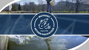 🐟 𝗖𝗵𝗲𝘇 𝗠𝗮𝘁𝗵𝗼𝗻𝗲𝘁, 𝗹𝗮 𝗳𝗿𝗮𝗶̂𝗰𝗵𝗲𝘂𝗿 𝗻𝗲 𝘃𝗼𝘆𝗮𝗴𝗲 𝗽𝗮𝘀 𝗹𝗼𝗶𝗻.

Ici, la truite est élevée, préparée et proposée au plus près de son origine. Un savoir-faire familial, une eau vive, un produit vrai… et ce goût simple des bonnes choses d’ici.

Parce que manger local, ce n’est pas seulement mieux manger.
C’est soutenir un métier, un territoire, une histoire.
Manger local, c’est vital.

📌 Commandes
Du lundi au vendredi
8h30-12h00 et 13h00-16h30

📌 Retrait à la ferme
Du mercredi au vendredi
14h00-17h00
Vendredi jusque 18h00

⚠️ Réservation obligatoire : votre truite nage encore avant d’être préparée.

Toutes les infos sur notre site :
👉https://pisciculture-mathonet.be/

#PiscicultureMathonet #MangerLocal #CircuitCourt #HauteAmblève #Malmedy #ProduitLocal