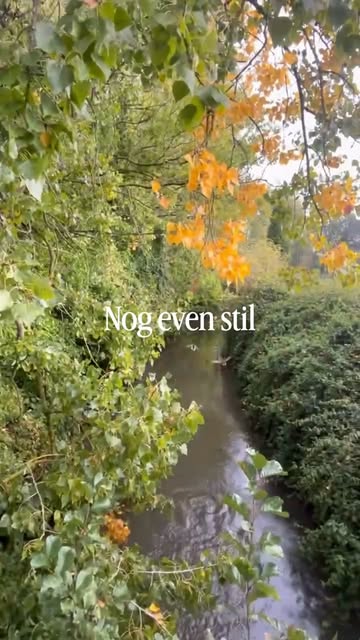 De werken aan de molen zijn bijna rond!
Eind oktober kan je weer terecht bij ons voor vers gemalen bloem af te halen.
Nog even geduld en tot binnenkort!
#ijzerkotmolen #zwalm #vlaamseardennen #ambachtelijk