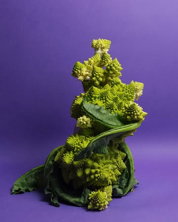 Images d’une semaine dédiée au stylisme et à la photographie culinaire avec @laurie_greco_ , partagée avec les étudiant·e·s du @masterfooddesign_brussels

Observer, composer, raconter. Entre lumière, matières et jeux de couleurs.

Merci aux étudiant·e·s pour leur curiosité et leur belle énergie. ✨

-

Images from a week dedicated to food styling and culinary photography with @laurie_greco_ , shared with the students of @masterfooddesign_brussels

Observing, composing, storytelling — through light, textures and plays of colour.

Many thanks to the students for their curiosity and wonderful energy. ✨