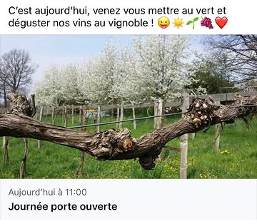 https://www.facebook.com/share/162kPBWRKY/?mibextid=wwXIfr