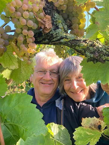 Encore un grand merci à tous pour cette fabuleuse journée de vendanges !
#vendanges #dalaheimcastellum