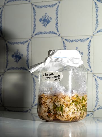|PRODUCT|
𝑪𝒉𝒆𝒐𝒏𝒈 de roses et de fraises.
Fermentation Coréenne, plus ancienne que le Kôso Japonais, qui tire son som de "𝑗𝑜𝑐ℎ𝑒𝑜𝑛𝑔" > "𝑚𝑖𝑒𝑙 𝑓𝑎𝑏𝑟𝑖𝑞𝑢é", "𝑐𝑜𝑚𝑚𝑒 𝑙𝑒 𝑚𝑖𝑒𝑙".
ㅤ
Le principe: ajouter le même poids en sucre que votre ingrédient et laisser la fermentation alcoolique (ici avec des fruits) se réaliser, dans un bocal hermétique. Ouvrez régulièrement, mélangez, déguster au bout de minimum 3 mois.
ㅤ
Ce que l'on aime :
- Un gout incroyable.
- La capacité de capturer des saveurs d'été et d'en profiter toute l'année.
- Les même bienfaits naturels que le miel.
ㅤ
La magie des sciences!
ㅤ
----
EN
Rose and strawberry 𝒄𝒉𝒆𝒐𝒏𝒈.
A Korean fermentation process, older than the Japanese Kōso, which derives its name from " 𝑗𝑜𝑐ℎ𝑒𝑜𝑛𝑔 " > " 𝑚𝑎𝑑𝑒 ℎ𝑜𝑛𝑒𝑦", "𝑗𝑢𝑠𝑡 𝑙𝑖𝑘𝑒 ℎ𝑜𝑛𝑒𝑦".
ㅤ
The principle: add the same weight of sugar as your ingredient and let the alcoholic fermentation (here with fruit) take place in an airtight jar.
Open regularly, stir, and enjoy after a minimum of 3 months.
ㅤ
What we love:
- An incredible taste.
- The ability to capture summer flavors and enjoy them all year round.
- The same natural benefits as honey.
ㅤ
The magic of science!
ㅤ

#fermentation #fermentationanturelle #fermentationstation #picking #pickingwildflowers #ceuillette #plantessauvages #nowaste
#merryrestaurant