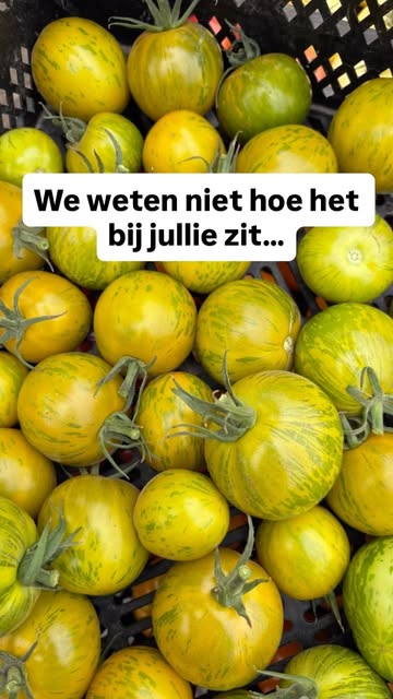 Zeg eens, hou jij ook zo van tomaten?
En welke zijn je lievelings?