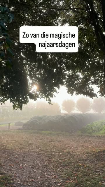 Gewoon genieten.
En in het nu zijn…