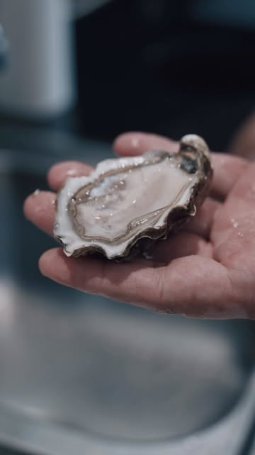 Le tour de main, on l’a — des années de comptoir, ça aide. Mais on a surtout une astuce ultime dans la manche : notre fournisseur KYS Marine @kysmarine et ses huîtres « à ouverture facile ». Eh oui, ça existe ! Moins de couteau qui dérape, moins de doigts en danger, et au bout du chemin le même plaisir iodé.

Et si on te les propose, ce n’est pas par hasard : KYS Marine, c’est tout simplement l’un des meilleurs ostréiculteurs bretons qu’on connaisse. La sécurité en plus, la qualité sans compromis.

Envie de te lancer sans stresser ? Passe en choisir Av. Joseph Abras 113 à Belgrade — et si tu veux qu’on te montre le geste parfait, demande, on adore transmettre. 🐟

#poissonnerie #onsenfish #traiteur #epiceriefine #huitres