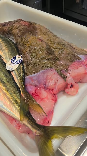 Une partie de notre arrivage #sea #poissonfrais #onsenfish #belgique #belgrade