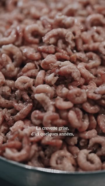 𝗣𝗮𝗿𝗳𝗼𝗶𝘀, 𝗼𝗻 𝗱𝗼𝗶𝘁 𝘁𝗲 𝗱𝗶𝗿𝗲 𝗻𝗼𝗻. Et on préfère t'expliquer pourquoi. 🦐

En ce moment, la crevette grise se fait rare. Pénurie oblige, elle n'est pas toujours sur nos étals, et quand c'est le cas, on ne va pas te sortir un produit médiocre juste pour combler le vide. Ce n'est pas notre façon de faire.

La mer décide, et nous, on respecte son rythme. Une pêche capricieuse, une ressource sous tension, et on préfère patienter plutôt que brader nos exigences. C'est peut-être frustrant sur le moment, mais c'est aussi la garantie que ce qu'on te vend est toujours à la hauteur.

Tu veux qu'on te prévienne dès qu'elle revient ? Écris-nous en MP, on te fait signe en priorité. 🐟

#OnSenFish #CrevetteGrise #Namur #Belgrade #ArtisanPoissonnier #PoissonnerieArtisanale #FoodNamur #PecheRaisonnee #Transparence #ProduitsDeLaMer

—
𝗢𝗻 𝗦'𝗲𝗻 𝗙𝗶𝘀𝗵 · 𝗔𝗿𝘁𝗶𝘀𝗮𝗻 𝗽𝗼𝗶𝘀𝘀𝗼𝗻𝗻𝗶𝗲𝗿 𝗮̀ 𝗡𝗮𝗺𝘂𝗿
𝗣𝗲̂𝗰𝗵𝗲 𝗿𝗮𝗶𝘀𝗼𝗻𝗻𝗲́𝗲 · 𝗠𝗮𝘁𝘂𝗿𝗮𝘁𝗶𝗼𝗻𝘀 · 𝗖𝗵𝗮𝗿𝗰𝘂𝘁𝗲𝗿𝗶𝗲 𝗱𝗲 𝗹𝗮 𝗺𝗲𝗿
📍 𝗔𝘃. 𝗝𝗼𝘀𝗲𝗽𝗵 𝗔𝗯𝗿𝗮𝘀 𝟭𝟭𝟯, 𝟱𝟬𝟬𝟭 𝗡𝗮𝗺𝘂𝗿 — ☎ 𝟬𝟴𝟭/𝟲𝟬.𝟭𝟭.𝟭𝟰
🛒 www.onsen.fish

#Namur #Belgrade #Wallonie #MangerLocal #CommerceLocal