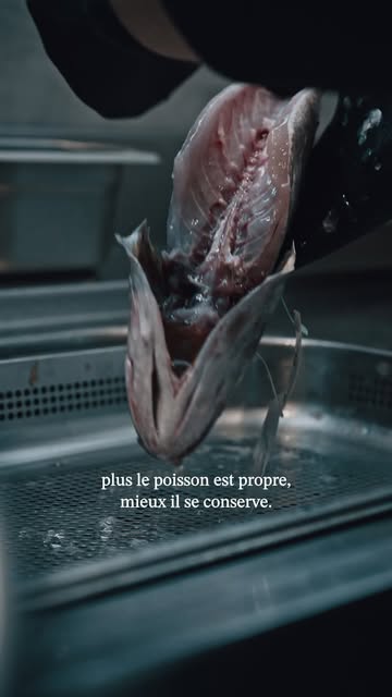 𝗧𝘂 𝗮𝗶𝗺𝗲𝘀 𝗹𝗲 𝗯𝗮𝗿 𝗺𝗮𝗶𝘀 𝗽𝗮𝘀 𝘀𝗼𝗻 𝗽𝗿𝗶𝘅 ? Laisse-nous te présenter le maigre. 🐟

Sa chair est ferme, blanche, délicate, avec ce petit caractère qui plaît autant aux amateurs de bar qu'aux curieux. La grosse différence ? L'addition, bien plus douce. Le genre de poisson malin qui fait plaisir sans faire mal au portefeuille.

Mais dans cette vidéo, on voulait surtout te montrer l'envers du décor : l'écaillage, le vidage, le parage. Un poisson bien préparé, ce n'est pas du chichi, c'est essentiel. Des viscères retirés à temps, ça préserve la fraîcheur et le goût ; des écailles bien ôtées, ça change tout à la cuisson. C'est un vrai travail, fait avec soin, à la main.

Et là, une remarque qu'on entend souvent : « un poisson vidé, c'est plus cher ». Faux. Regarde bien : quand tu l'achètes entier avec ses viscères, tu paies aussi ce poids-là, et c'est toi qui te retrouves avec le boulot (et les mains dedans). Vidé et paré par nos soins, tu paies du poisson net, prêt à cuisiner, et tout le savoir-faire qui va avec. Fais le vrai calcul, tu comprendras.

Passe choisir ton maigre Av. Joseph Abras 113 à Belgrade, on te le prépare comme il faut. Une question ? Balance-la en MP. 🐟

#OnSenFish #Maigre #Namur #Belgrade #ArtisanPoissonnier #PoissonnerieArtisanale #FoodNamur #ConseilPoisson #SavoirFaire #MangerLocal

— 𝗢𝗻 𝗦'𝗲𝗻 𝗙𝗶𝘀𝗵 · 𝗣𝗼𝗶𝘀𝘀𝗼𝗻𝗻𝗲𝗿𝗶𝗲 𝗮𝗿𝘁𝗶𝘀𝗮𝗻𝗮𝗹𝗲 · 𝗡𝗮𝗺𝘂𝗿
📍 𝗔𝘃. 𝗝𝗼𝘀𝗲𝗽𝗵 𝗔𝗯𝗿𝗮𝘀 𝟭𝟭𝟯 — www.onsen.fish

#OnSenFish #ArtisanPoissonnier #PoissonnerieNamur #DécouvrezLaMerAutrement