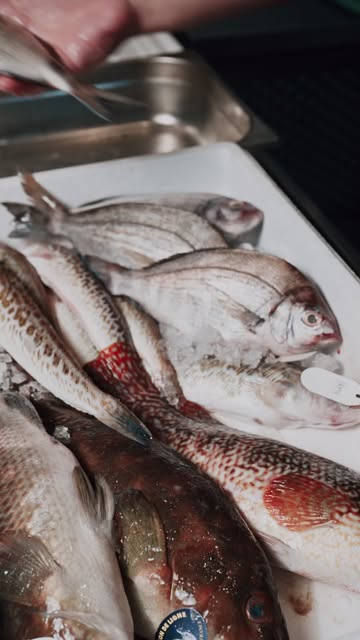 Une mystery box qu'on nous envoie chaque semaine ? C'est grâce à notre ami @herve_mareyage

Lorsqu'on pêche, on trouve parfois dans les filets d'autres poissons que ceux initialements recherchés. Dans un autre style de pêche (qu'on ne cautionne pas), ce serait simplement considéré comme un déchet et mort ou vif, relâché à la mer. Pas chez Hervé ! Après une discussion avec lui, on a convenu qu'il nous envoyait chaque semaine une Mistery box avec des poissons moins ou peu connus.

C'est la meilleure façon de sortir de tes habitudes, de goûter des poissons que tu n'aurais jamais osé prendre, et de nous laisser faire ce qu'on aime le plus : te régaler sans filet.

Prêt à tenter l'aventure ? Viens découvrir de nouvelles choses, envoie un MP et dis-nous juste pour combien de personnes. Le reste, c'est notre surprise. 🐟

#OnSenFish #MysteryBox #Namur #Belgrade #ArtisanPoissonnier #PoissonnerieArtisanale #FoodNamur #SurpriseDeLaMer #MangerLocal #DecouvrirLaMerAutrement

— 𝗢𝗻 𝗦'𝗲𝗻 𝗙𝗶𝘀𝗵 · 𝗣𝗼𝗶𝘀𝘀𝗼𝗻𝗻𝗲𝗿𝗶𝗲 𝗮𝗿𝘁𝗶𝘀𝗮𝗻𝗮𝗹𝗲 · 𝗡𝗮𝗺𝘂𝗿
📍 𝗔𝘃. 𝗝𝗼𝘀𝗲𝗽𝗵 𝗔𝗯𝗿𝗮𝘀 𝟭𝟭𝟯 — www.onsen.fish

#OnSenFish #ArtisanPoissonnier #PoissonnerieNamur #DécouvrezLaMerAutrement