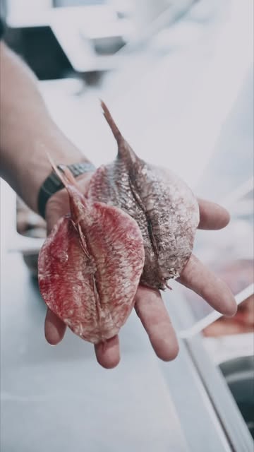 Chez nous, la promo ne se décide pas en rayon. Elle se décide à quai. 🐟

Pas de « poisson en promo » qui traîne toute l’année sur la même pancarte. Ici, ça bouge au gré des arrivages et de ce que la mer nous offre. Aujourd’hui des soles, demain de la lotte, des palourdes ou un beau rouget qui te fait de l’œil. Une pêche généreuse, un coup de cœur du mareyeur, et hop, le prix suit.

C’est ça, être un vrai artisan : te faire profiter du meilleur du moment, pas d’un produit figé. L’inconvénient ? Tu ne peux pas la deviner à l’avance. L’avantage ? Il y a toujours une belle affaire à saisir.

Tu veux connaître nos promos de la semaine ? Un petit MP, un coup de fil au 081/60.11.14, ou garde juste un œil sur nos stories. On te tient au courant dès que ça tombe.

Alors, prêt à te laisser tenter par la pêche du jour ? 🐟

— 𝗢𝗻 𝗦'𝗲𝗻 𝗙𝗶𝘀𝗵 · 𝗣𝗼𝗶𝘀𝘀𝗼𝗻𝗻𝗲𝗿𝗶𝗲 𝗮𝗿𝘁𝗶𝘀𝗮𝗻𝗮𝗹𝗲 · 𝗡𝗮𝗺𝘂𝗿
📍 𝗔𝘃. 𝗝𝗼𝘀𝗲𝗽𝗵 𝗔𝗯𝗿𝗮𝘀 𝟭𝟭𝟯 — www.onsen.fish

#OnSenFish #ArtisanPoissonnier #PoissonnerieNamur #DécouvrezLaMerAutrement