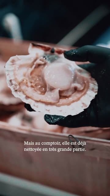Toutes les Saint-Jacques ne se valent pas. Et tout commence au fond de l’eau. 🤿

Draguées : la coquille se remplit souvent de sable. La Saint-Jacques de plongée, elle, est récoltée à la main, une par une, par un plongeur. Plus rare, plus chère, mais nette, sans sable coincé entre les valves, et d’une qualité qui se sent dans l’assiette.

Chez On S’en Fish, on te parle toujours franchement de ce que tu achètes. On lance une petite série pour que la reine des coquillages n’ait plus aucun secret pour toi.

La pleine saison, c'est maintenant ! On t'en mets de côté ? Passe au comptoir Av. Joseph Abras 113 à Belgrade, ou demande-nous en MP. 🐟

— 𝗢𝗻 𝗦'𝗲𝗻 𝗙𝗶𝘀𝗵 · 𝗣𝗼𝗶𝘀𝘀𝗼𝗻𝗻𝗲𝗿𝗶𝗲 𝗮𝗿𝘁𝗶𝘀𝗮𝗻𝗮𝗹𝗲 · 𝗡𝗮𝗺𝘂𝗿
📍 𝗔𝘃. 𝗝𝗼𝘀𝗲𝗽𝗵 𝗔𝗯𝗿𝗮𝘀 𝟭𝟭𝟯 — www.onsen.fish

#OnSenFish #ArtisanPoissonnier #PoissonnerieNamur #DécouvrezLaMerAutrement