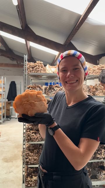 🍄 Het is bijna zover…
Op zaterdag 13 juni zetten we de deuren van onze paddenstoelenkwekerij open!

Kom bijzondere paddenstoelen ontdekken, proeven én zelf plukken.

✨ Wat mag je verwachten?
• Rondleidingen door de kwekerij
• Zelfplukstand
• Marktkraam met onze producten
• Heerlijke proevertjes
• Mushilicious bites & bar verzorgd door @vegamuze

📅 Zaterdag 13 juni
🕚 11.00 – 17.00 uur
📍 Padoo - Opperhofstraat 30, Drongen
➡️ Ingang via de oprit naast parking De Campagne

Iedereen welkom! 🍄❤️

#opendeurdag #paddenstoelen #korteketen #bioweek #puurgent