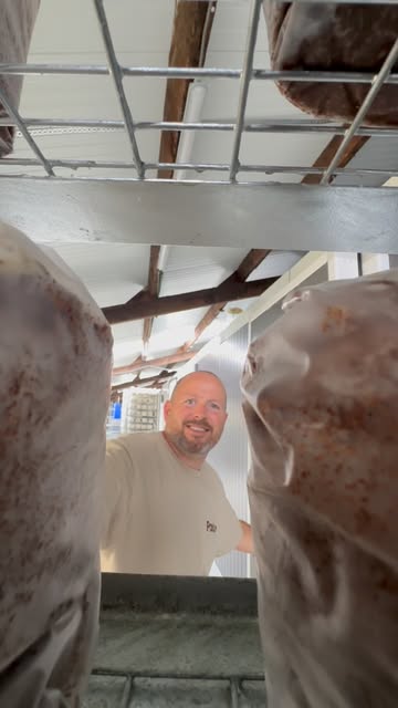 Het nieuwe paddenstoelenseizoen is officieel geopend! 🥳🍄

Net wanneer de kinderen weer naar school gaan, verwachten we ook de eerste verse shiitakes 🤩

Vanaf zaterdag 5 september vind je ons terug op de markt in Drongen én aan Gent-Sint-Pieters. 🧺

Kan je écht niet wachten? 😉 Dan ben je vanaf dinsdag 1 september van 14u-18u al welkom in onze farmshop op de kwekerij. 🏡🍄

Tot snel! ❤️

#thisishowwedoit #paddenstoelen #korteketen