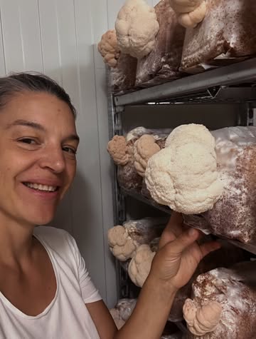 🍄 Guess who’s back?!

Onze prachtige lion’s mane (pruikzwammen) zijn terug! 🤍 Deze week worden ze geoogst en zijn ze dus weer volop verkrijgbaar.

📍 Waar kan je ze halen?

🌱 Farm shop op onze kwekerij in Drongen
Dinsdag & donderdag | 14u–18u

🧺 Op de markt
Zaterdag | Drongen Markt
Zondag | Biomarkt Gent-Sint-Pieters

👩‍🍳 Voor chefs
Bestellen kan via @koolmees_bioboerderij , met levering in Vlaanderen en Brussel of neem contact met ons op!

👉 Alle verkooppunten vind je op padoo.be
🔗 Link in bio!

Wie is er ook zo blij dat de lion’s mane terug is? 🍄✨