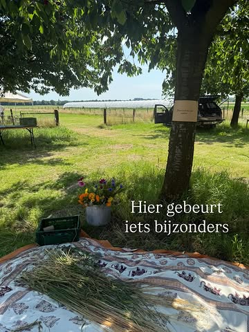 In het Jekerdal gebeurt iets bijzonders. 👀 Tussen de velden wordt hier niet alleen geteeld, maar ook onderzocht en geëxperimenteerd.

Samen met partners werkt Reinier Hoon van @goutte._ aan nieuwe manieren van landbouw, met aandacht voor bodem, biodiversiteit én nieuwe toepassingen van gewassen. Denk aan velden vol mengteelten, experimenten met natuurlijke processen en de zoektocht naar gewassen die niet alleen op het bord belanden, maar ook een rol spelen in circulaire materialen. 🌱

Afgelopen weekend was dat mooi te ervaren tijdens de open dag. Tussen de gewassen, aan lange tafels onder de bomen, met gerechten vol ingrediënten uit de omgeving. 🍒

En wie dat heeft gemist: je kunt er gewoon elke week terecht. Op de markt in Kanne of Visé, of in de hoevewinkel in Riemst. Ga zeker eens langs voor verse groente direct van het land, én voor een goed gesprek en een kijkje in het verhaal erachter.

#goeddoen #Jekerdal #Maastricht #natuur #biodiversiteit