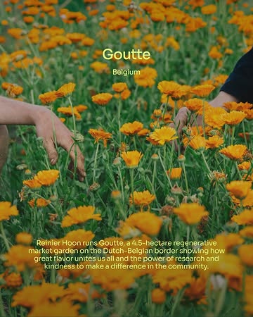 @goutte._ is showing how regenerative farming is not just about growing vegetables, but about remembering what the land already knows.

That a farm can be a place where soil, food, plants, people, and materials are bought back into an interdependent relationship.

Goutte is a living laboratory where research, innovation and collaboration meet exploring everything from participatory cabbage breeding to transforming agricultural fibre waste into new materials.

Here, they collaborate with Maastricht University to explore a kinder approach to farming while building a community around food as a driver for social and environmental change.

At Goutte, quality begins underground and is expressed through flavour and nutrient density.

🔗 Follow the link in @top50farmers bio for the full story of how Reinier is reconnecting people with the land through food, community, and regenerative agriculture.

✍️ Written by @top50farmers and @joohsofine

#top50farmers #ReinierHoon #top50farmers2026 #Goutte #t50f2026 #T50F #regenag #regenerativeagriculture #regenerativefarming #soilhealth #knowyourfarmer #futureoffarming #Europe #Belgium