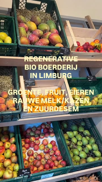 @goutte._ is een snoepwinkel voor iedereen die graag bewust boodschappen doet💚 Wauw! dat we dit in Belgisch Limburg hebben vlak over de grens van Zuid-Limburg🤩🤩🤩

Wat een fantastische hoeve winkel is dit!!!!

Je wordt zóóó goed geholpen in de winkel💛
Zó veel kennis, zo eerlijk, zo puur, zo héérlijk!!!!

Groente, fruit, rauwe melk, rauw melkse kazen, heerlijk zuurdesem brood, mega lekkere eieren van de kippen die in de boomgaard vrij rondlopen en ook echt geweldige kruiden

Bewust boodschappen doen, voelde zaterdag als mijn uitje en niet meer snel snel. Het was een bewuste keuze om helemaal naar deze plek toe te rijden, bewust mijn producten te kopen en daarmee mijn eten te maken voor deze hele week. Alles is zó smaakvol 😋🤤

De beste, eerlijke eieren komen sowieso van Reinier Hoon. Lees hier een GEWELDIG artikel over hem uit 2024:
https://gedeeldeweelde.nl/voeding-als-spil-in-de-gezondheid-van-ons-landschap/

We hebben elkaar nog nooit ontmoet en toch ben ik groot fan! 😂🙌 @goutte._

Echt leuk deze ontdekking😍 goshhh, wat houd ik toch hier van 🧡

Openingstijden:

Hoeve winkel, Burgemeester Marresbaan 22B, Riemst
🥕Vrijdag 14:00 - 18:00
🥕Zaterdag 09:00 - 17:00
🥕Zondag 09:00 - 13:00

Markt Kanne, Statieplein
🥕Zaterdag 07:30 - 12:30

Markt Vise, Rempart des Arbalétriers
🥕Woensdag 08:00 - 13:00

#bio #boerderij #limburg #belgie #fruit