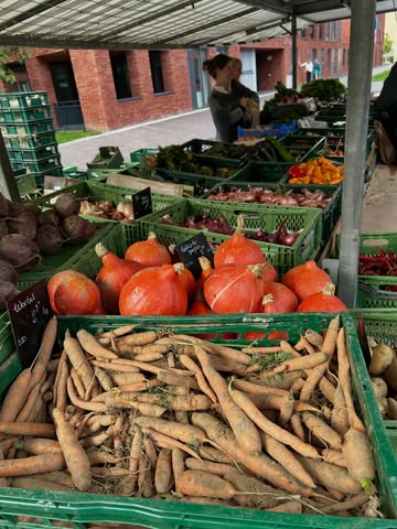 Pompoenen in overvloed bij @goutte._ op het Merkatplantsoen. En heel veel andere lekkere groenten en fruit. En alles biologisch!