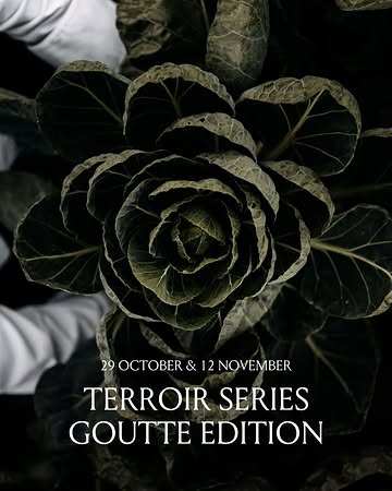 Autumn arrives at L’Auberge and with it a new Terroir Autumn dinner series.

For these special evenings we welcome Reinier Hoon, owner of @goutte._ a regenerative farm where the care starts in the soil. Over an aperitif and three courses, he shares the thinking behind his farm and the produce that reaches the plate, each course paired with wine.

📅 29 October and 12 November. Reservations are open now, link in our bio.

#ChateauNeercanne #LAuberge #Terroir #MaastrichtDining #RegenerativeFarming