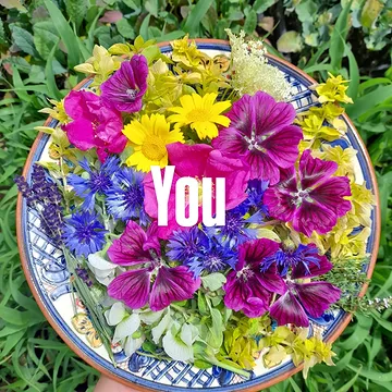 ❤️Why are you the most important part of the chain?
🫡The revolution starts on the table on plate.
On your plate.
👉Everything really revolves around you.
✨️That’s why you are the solution.
❤️Because it is us, as consumers, who choose what we want to eat.
We go to the shops.
No one forces us to buy corn from Portugal, strawberries from Spain, or avocados from Mexico.
💚It is always your choice.
It is us who open a cookbook in the middle of winter and want to eat a summer salad 😬
That’s why we —❤️ you and I — are the real revolution.
If we stopped buying these products, there would be no demand for them.
Because no one would find a market for them.
🌿This is our responsibility:
to choose products that are in line with local possibilities.
❤️Cooperation with ethical farms is our choice.
Very often I hear the question:
👉“But where can I buy this? In the supermarket everything is available at once.”
A bit of goodwill is enough — Google will help you find an organic farm close to your home.
Once a week we can stock up on vegetables or order a vegetable box.
There are no excuses here — just a bit of free will.
🫣Another issue:
many “local” farm shops sell non-organic dairy and vegetables that are exactly the same as in the supermarket — bought from intermediaries.
(Worth thinking about: who are we really supporting?)
🌿Seasonality matters.
🌿When we ask local organic farmers for grapes, or for peppers and eggplants in March, they often import them to avoid losing customers.
Yes, it’s organic — but maybe it’s better to buy vegetables they actually grow themselves and that bring them real income.
❤️And this is where we arrive at the conscious consumer.
Know ho plant your food 🌿
Met your farms 🙌
Ask from where your food comes from 🙏
Be kind ❤️be loving food is most important part of your life
LotsOfLove Aleksandra
@tschaaphof
 @verschil_naturelle
 @groentegem
 @iledebambecque
@mondedesmillecouleurs
 @de_pret
@on_kruid.be @lincelam
@chou_fleur_bioboerderij
@brugboerbart
@__p