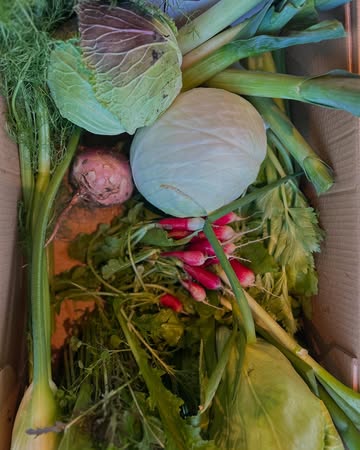 Laatste box van dit jaar gevuld.
Wat een jaar.
Met vallen en vooral veel opstaan.
Op naar een nieuw top jaar.
Ook een dikke merci voor de steun en vele aankopen van groenten aan al mijn klanten.
Zonder jullie zou het niet lukken.

#permacultuur #growyourfood #farming #kooplokaal❤️ #marketgarden @verschilbistro