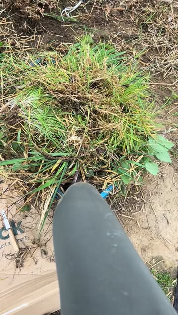 Opnieuw een drukke maar boeiende dag op de boerderij.

#permaculture #farming #growyourownfood #farmlife #fromfarmtotable #eigenkweek #