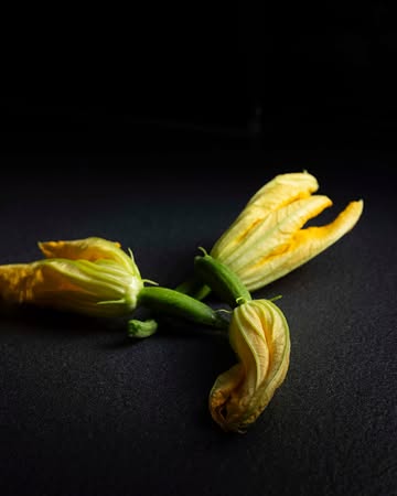 Romig. Zacht. Net een beetje wild.

Fleur de courgette gevuld met stracchino en gefermenteerde paprika — een gerecht dat er zo fragiel uitziet, maar op je tong precies weet wat het doet.

De bloem houdt de vulling gevangen tot het laatste moment. Dan geeft ze alles.

📍 Verschil Farm To Table
🔗 Reserveren via link in bio of T. 051 43 67 20

#fleurdecourge #stracchino #fermentatie #seizoensgerecht #restaurantbelgique #cheflife #eetbelgie #VerschilFarmToTable #GaultMillau #GaultMillauBelgium #FarmToTable #verschilnaturelle #foodie #freshproduce #localfoodlover #sustainablefood #farmersofbelgium #seasonaleats #michelinguide