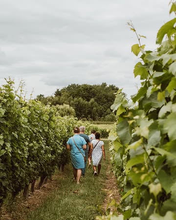 𝐎𝐩 𝐰𝐚𝐧𝐝𝐞𝐥 𝐢𝐧 𝐝𝐞 𝐰𝐢𝐣𝐧𝐠𝐚𝐚𝐫𝐝 🥾

Met een gids tijdens één van onze rondleidingen. Of gewoon op jezelf, met een plannetje van onze Entre-Deux-Monts route. Aan jou de keuze.

Alle info over jouw bezoek aan ons domein, via link in bio.