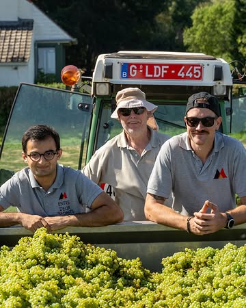 𝐓𝐫𝐨𝐭𝐬 & 𝐯𝐨𝐥𝐝𝐚𝐚𝐧. 𝐖𝐚𝐭 𝐞𝐞𝐧 𝐭𝐞𝐚𝐦.

De drukste periode op een wijndomein? Daar zitten we middenin.

En wat zijn we trots op de mensen die de oogst dragen. Slechts een deel van ons team staat op deze foto, maar hun glimlach zegt genoeg. Met vertrouwen in elkaar en een flinke portie goesting, trekken ze samen aan de kar & zetten ze alles op alles om onze druiven kwalitatief te oogsten.

Een welgemeende dankuwel aan iedereen die zich voor én achter de schermen inzet voor onze druiven! ❤