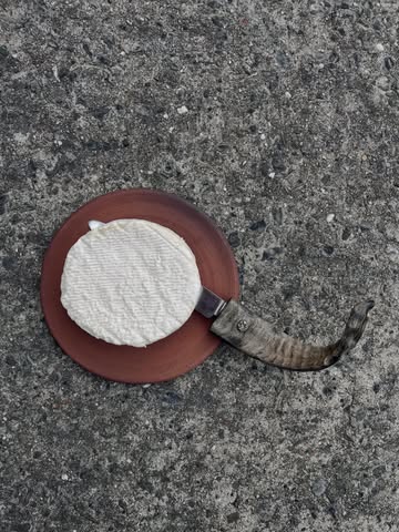 Onze Saint-Jacques camembert. Een camembert van onze rauwe geitenmelk, vernoemd naar onze zoon Jakob.

Nu is hij op zijn best, kom je hem dit weekend proeven voor hij helemaal wegloopt?

Lekker uit het vuistje, op de kaasplank, op een toastje met wat honing of opgewarmd in de oven.

De eerste in de lijst van onze gerijpte kazen die we graag in de kijker zetten.
#camembert #rawfood #kaasplank #geit #biologisch