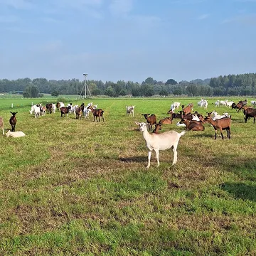 Onze werkplek, iedere dag een ander landschap. Ver weg van alle drukte! Dit zelf beleven kan in onze B&B! #bedandbreakfast #holidayhome #organic #chambresdhotes #holiday