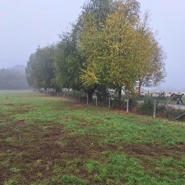 Genieten van de herfst! #herfst #automme #farmliving #hof #foodie