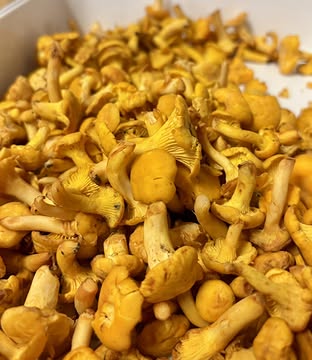 🍂 L’automne s’invite à table au Bagù !

Dès demain soir, retrouvez une cuisine qui fait la part belle aux produits de saison, de qualité et rigoureusement sélectionnés, préparés avec gourmandise et cette petite touche qui nous ressemble.

Il reste des places pour la reprise ce mercredi et jeudi soir

Réservez votre table et venez savourer la saison avec nous !

Réservations en ligne ici :
https://restaurantbagu.be/fr/reservations

Ou par téléphone ☎️ au 0498486807

#Bistronomie #Gastronomie #thuin #gaultmillaubelgium #thuinweed🍁 #bib #michelin #MICHELIN