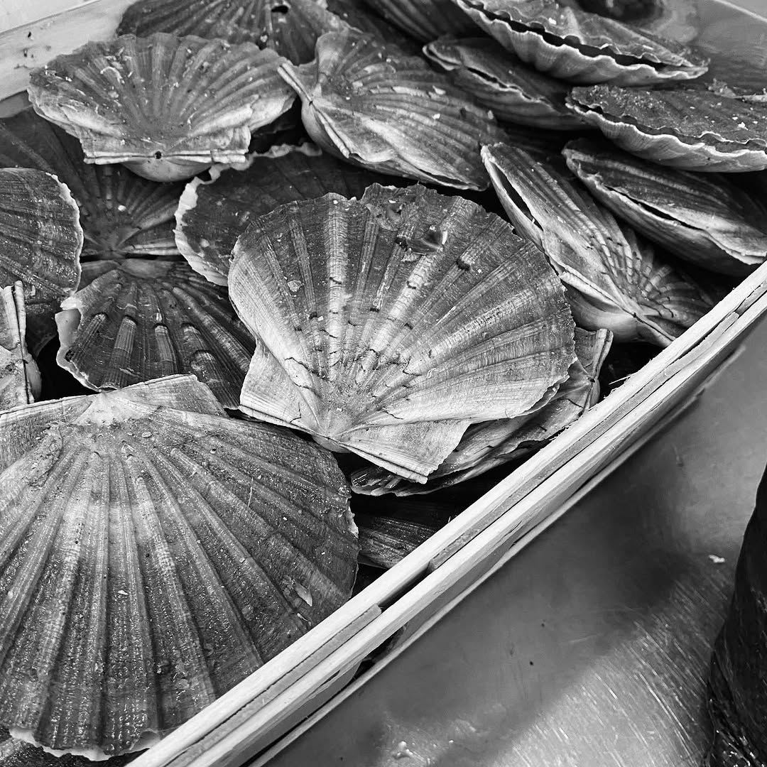 Les premières coquilles Saint-Jacques de Dieppe arrivent chez Bagù !

Charnues, délicates et tout en finesse, elles ouvrent le bal des belles saveurs d’automne. Un produit de saison qu’on adore travailler.

#Bistronomie #michelinguide #michelin #Gastronomie #thuin #Bagu #gaultmillaubelgium
