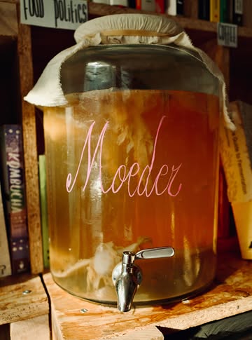 MOEDER

In fermentation, we use the word mother quite casually.

The mother of vinegar, the mother of kombucha, the motherdough,...
A living culture that we feed, protect, divide and pass on so it can transform something else.

The biologist Lynn Margulis once wrote:

“Life did not take over the globe by combat, but by networking.”

The more I work with fermentation, the more radical that sentence feels.

A SCOBY is not one organism winning over another. Neither is koji, soil, our gut, a forest or, for that matter, ourselves. Life is built through strange alliances, exchanges, dependencies and things living inside other things.

Robin Wall Kimmerer writes about a maternal gift economy: the most fundamental exchanges that keep us alive are not based on accumulation, but on giving and receiving. A mother does not calculate the return on the milk she gives her child. Soil does not invoice the tree.

And maybe that is worth remembering right now.

We live in a time where destruction can be made to sound rational. Where land, bodies and ecosystems become numbers, resources, collateral damage or problems to be managed.

Against that, caring for life can seem small. Feeding someone. Growing something. Keeping a sourdough starter alive. Saving seeds. Making food instead of wasting it. Passing knowledge on. Leaving enough for someone else. Keeping a mother alive so that another batch can begin.

Fermentation taught me that life rarely survives alone.

So feed your mothers.

And let them multiply.