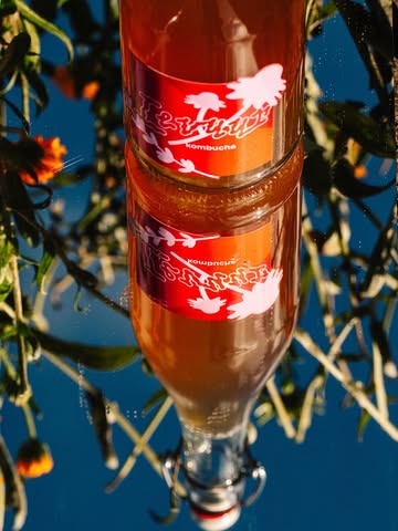 Beetje Kerst in een fles 🎄

Met zijn aroma’s van salie, eucaluptus, zoethout en hooi kan Wild Herbs die ambetante zatte nonkel eindelijk wat in bedwang houden.

De kombucha werd gebrouwen met de Flower Power thee van @on_kruid.be waarin je een hele resem aan (on)kruiden kan terugvinden; salie, echte kamille, akkergoudsbloem, citroenmelisse etc. Alsook voegden we een beetje gentiaan toe voor een licht bittertje.

Niet alleen goed als aperitief maar ook passend bij een vettig visje, winterse groenten (zoals bietjes, knolselder, raapjes) en uiteraard een pasta al burro e salvia 🇮🇹

Tot onder uw kerstboom x

📸 @burobonito.be