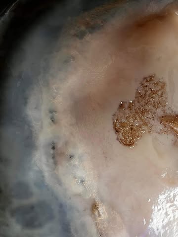 Mag het nog? Denk het wel.

Beste wensen van het hele Levuur team (ik en de scobies dus). 2025 was het jaar waarin ik de sprong van bijberoep naar hoofdberoep maakte. Alsook het jaar van vele leuke ontmoetingen, heel veel marktjes, kombucha cocktails, kombucha op vat, Levuur glazen, nieuwe flessen, nieuwe smaken en ontzettend veel kuisen.

Merci aan alle klanten, leveranciers en mensen die mij gesteund en geholpen hebben dit jaar. Op naar meer ❤️

Moge 26’ even proper zijn. Tot onder de stadshal 🥂

groetjes
your local kombucha dealer