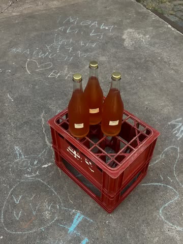 Het was al lang eens tijd voor een nieuwe zomersmaak nietwaar. Voor diegene die het nog niet zagen passeren:

Kombucha gebrouwen met 70% Zomba Green & 30% witte Thyolo BSPM van @satemwa_tea_coffee

In de 2de fermentatie kan je een beetje engelwortel terugvinden, een korte infusie van hibiscus en verse ananassalie van de @kollebloem .

Zachte exotische toetsen, een beetje salie en licht complex ⛱️

Momenteel nog met prachtige labels van afplaktape. Volgend jaar met iets creatievers.

Foto’s door mijzelf, vloertekening door vermoedelijk kind uit de buurt ✌️

Een goeie zomer alvast x