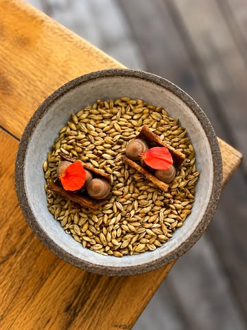 🍅 Nouveau menu, nouvelle rentrée chez Hors-Champs !

Au menu : les magnifiques tomates de notre jardin cultivées par @terres_gourmandes_potagers , le congre de la mer du Nord, une déclinaison de canard de la Ferme de la Sauvinière, un terre & mer signature du chef, l’agneau de la Ferme de Censier…

Et pour terminer, melon & concombre, relevés par les épices du chef. 🌿

Une rentrée locale, de saison et pleine de surprises.