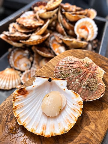Comme annoncé il y a quelques semaines, les lunchs sont maintenant disponibles les jeudis et vendredis midi !

Et pour ce tout premier lunch de la saison, le chef vous propose de retrouver les premières Saint-Jacques, tout juste arrivées en direct de Bretagne, suivies d’un plat autour de l’agneau et un dessert frais avec les derniers melons et concombres de la saison.

Une cuisine de saison, au rythme des arrivages et de ce que la nature nous offre.

Lunch en 3 services — 45 €
Tous les jeudis et vendredis midi.

On se retrouve à table ?