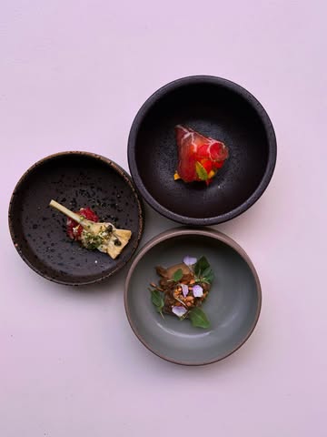 ✨ Nieuwe amuses! ✨

🌿 Artisjok met tartaar van rundsbavet & daslookkappertjes

🌽 Maïs met zure room, paprika & huisgemaakte charcuterie

🐟 Maatje met aubergine & zonnebloempitjes