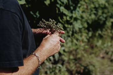 🌱 MASTERCLASS FORAGING + LUNCH 🌱⁠
⁠
2ND EDITION - 19.09.2026⁠
⁠
Curious about what grows in our region, what's worth picking and what's best left alone?⁠
⁠
Chef @thomasgellynck will take you on a foraging walk.⁠
⁠
Afterwards, we’ll head into the kitchen to show you three techniques, three ways to work with what you've gathered, followed by a three-course lunch.⁠
⁠
From outside to inside, from ground to plate. It doesn't get any better than this.⁠
⁠
Saturday 19 September // € 175 per person ⁠
10:00 - 11:00 :: foraging walk⁠
11:30 - 12:00 :: processing techniques⁠
12:00 - 14:00 :: lunch (3 courses with homemade NA pairing)⁠
⁠
Are you in?⁠
www.commotiegent.be/masterclasses