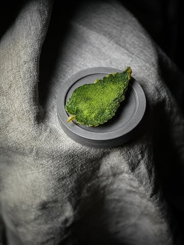 Now on the menu 💚⁠
⁠
Nettle tempura, served with smoked eel mousse and fermented lemon. Finished with lovage powder. ⁠