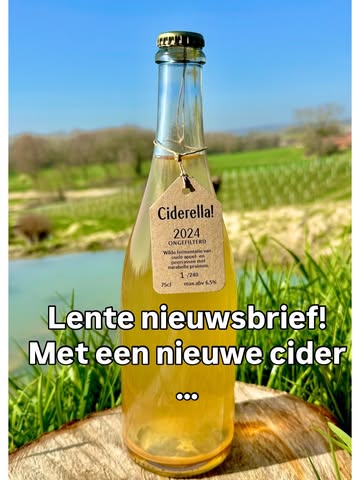 Nieuw seizoen, nieuwe nieuwsbrief.
Met:
🍎 - Ciderella! ‘24 vanaf nu verkrijgbaar. Een co-ferment van onze gerijpte AP ‘24 (appels & peren) met 6 soorten mirabellen en een beetje kwets.
🍇 - De eerste wintersnoei in de wijngaard.
💦 - Volle vijvers en kikkervisjes.
🏺- ‘Een korte geschiedenis van cider in de Lage Landen en Vlaamse Ardennen’ met dank aan @defoodarcheoloog
🎥 - Christophe aan de klets in @sorry.mijn.kluute

#belgischecider #belgischewijn #allnatural #agroecology #regeneratievelandbouw LINK IN BIO