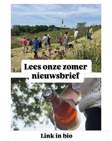 ☀️Lees onze zomer nieuwsbrief!
Link in bio
🍒 rood fruit cider
🧺picknick in de fruitgaard
🍇nieuwe wijnstokken
🐑 schapenwol in de wijngaard
#belgischecider
#belgischewijn
#regeneratievelandbouw
#korteketen
#vlaamseardennen